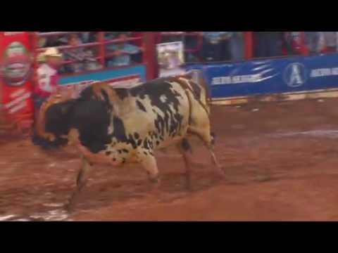 Final rodeio de Colorado - PR 2014 com Almir Cambra