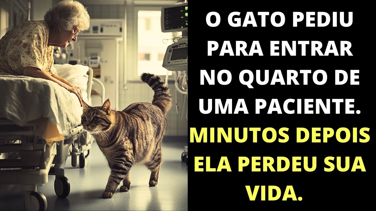 O gato pediu pra entrar no quarto de uma paciente. Minutos depois ela perdeu sua vida.
