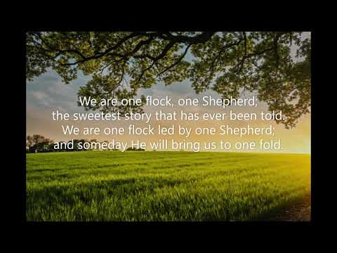 One Flock, One Shepherd (#060 All the Best Songs of Praise & Worship) Stephen R Adams