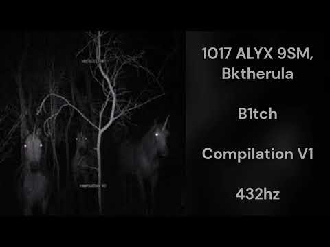 1017 ALYX 9SM, Bktherula - B1tch (432hz)