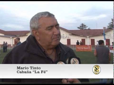 15-05-15 Nota a Mario Tinto ( Cabaña " La Fe " ) - Bolivar