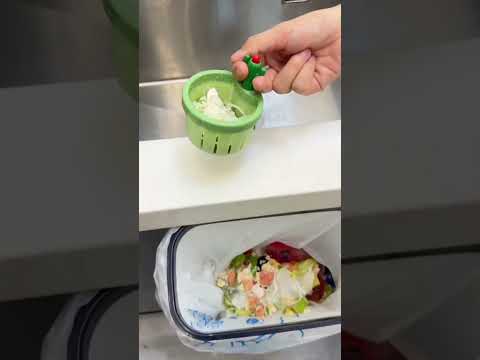 Cactus Kitchen Sink Drain Strainer