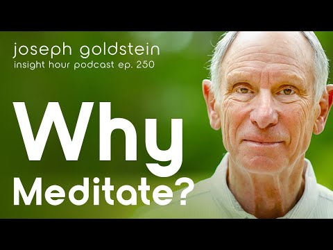 Why Meditate? With Joseph Goldstein – Insight Hour Ep. 250