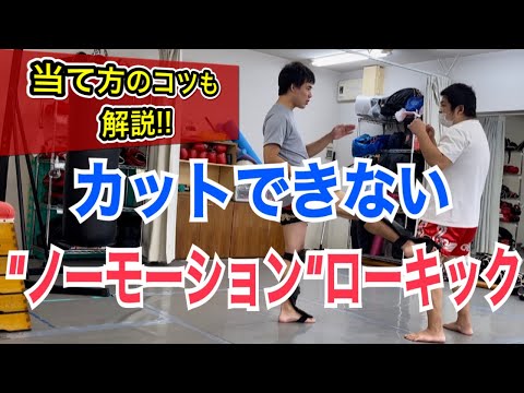 相手がカットできない”ノーモーション”ローキックの蹴り方!! ~確実に当てるコツまで紹介~