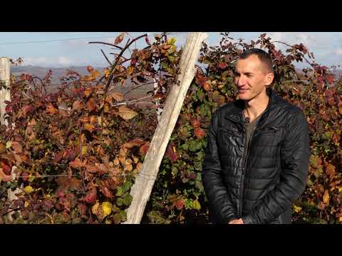 Biram selo ep. 62 25.11.2020. Domaćinstvo Ilić, selo Grad, prerada voća, rakija, seoski turizam