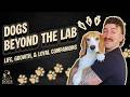 Snooper Star Luke Toennies On His Beagle Snoop