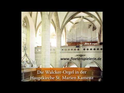 Josef Gabriel Rheinberger - Rhapsodie h-Moll für Flöte und Orgel