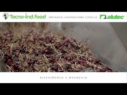 Onions post harvest processing equipment