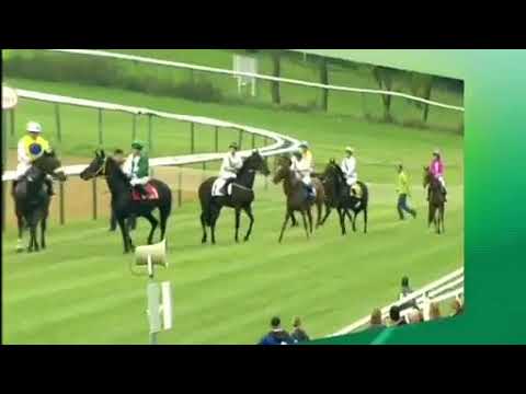 Magdeburg 30.09.2017 Reitpferderennen Juniorcuprennen