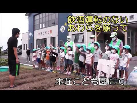 交通安全動画〜飲酒運転大根絶〜本荘こども園のみんなからのお願い👭