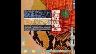 David Torn, Mick Karn, Terry Bozzio- Honey Sweating