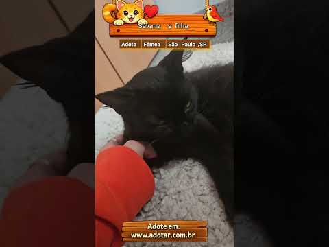 Vídeo de Savana e filha