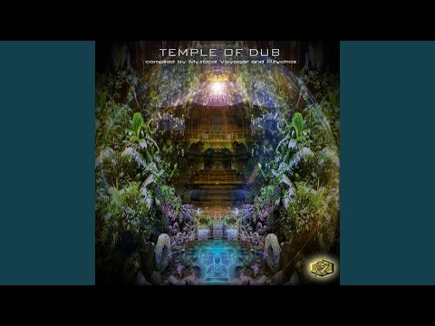 Euro Bongs (PSYCHOZ Remix)