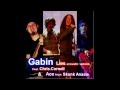 GABIN feat. CHRIS CORNELL & ACE from Skunk ...