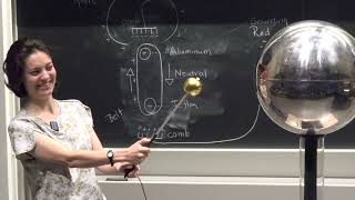 Electric Sparks and possible shocks using a Van de Graaff generator