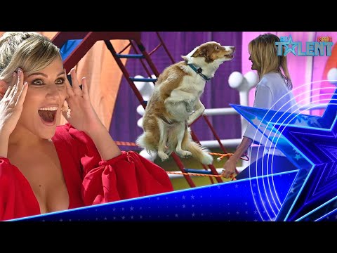 Talentoso Show Canino En Got Talent España