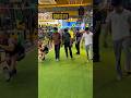 One Leg Squat Challenge Who Will Win Challenge Gym Team Instagram Sports Celtics