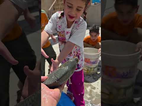 لولو ماخاف من السمكة 😅😅😅#فقور وحيدور وحسن