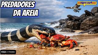 Praias Brutais:O Lar dos Animais Mais Perigosos do MUNDO