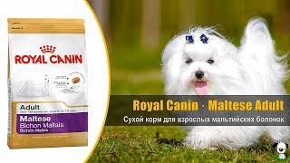 Royal Canin Maltese Adult 0,5 кг (3995005) - відео 1