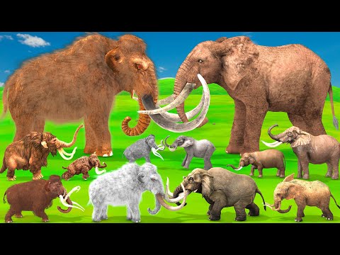 Woolly Mammoth vs Mastodon Fight Which Was More Powerful? Prehistoric Mammals VS Modern Mammals