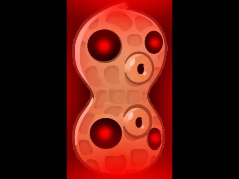 Plants Vs Zombies 2: Pea Nut Max Mastery (M200)