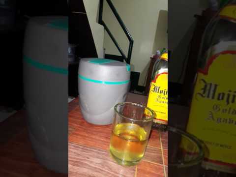 MOJITOS GOLD AGANE WITH SODHI JALANDHARIYA