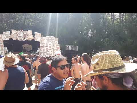 Babagoon - La tierra prometida 2019