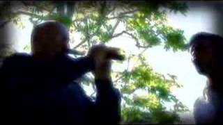 Toneladas De Alabanza