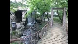 preview picture of video '[ZR-500]しょうぶ沼公園 岩屋の滝[30-120fps]'