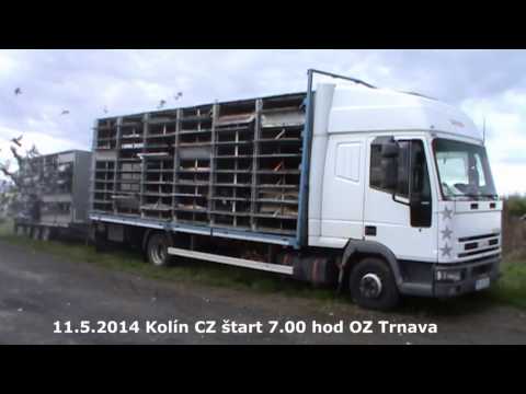 11.5.2014 Kolín CZ start 7.00 hod OZ Trnava