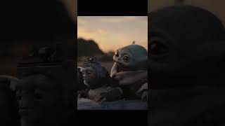 Grogu & Mandalorian Vs the Galaxy