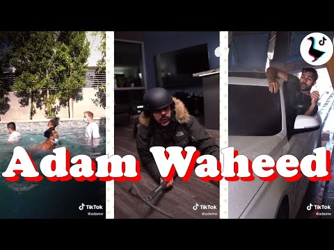 Adam Waheed Best TikToks 2020 Part 1!