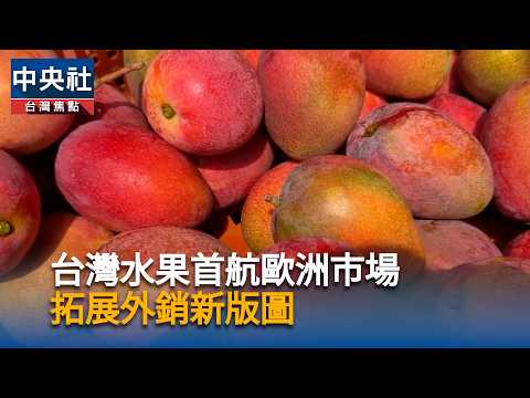 Taiwanese fruits make their maiden voyage to the European market, expanding their export footprin...