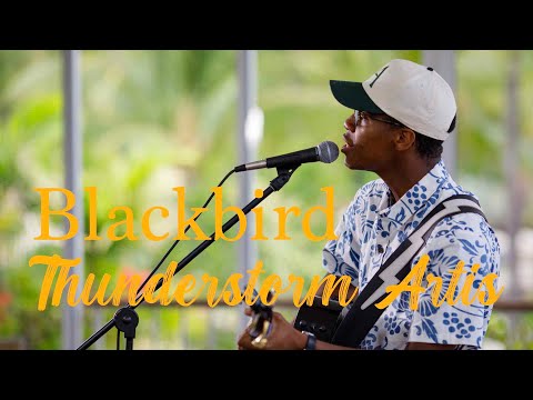 HI*Sessions and Thunderstorm Artis