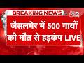 AAJTAK 2 LIVE JAISALMER के DUMPING YARD में मिले 500 गायों के शव