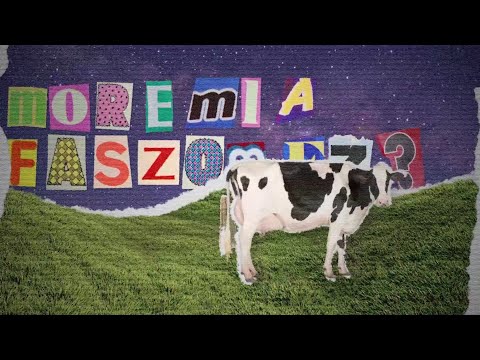 LAZA LACA - PULZÁL FEAT. TIRPA, EL MAGICO (VIDEO)