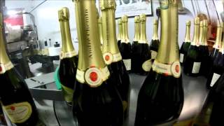 HABILLAGE # BOTTLE PACKAGING