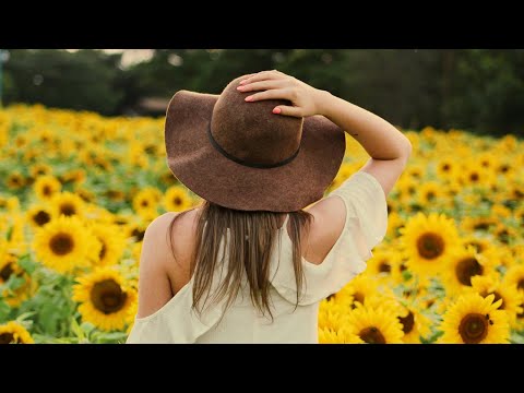 Eyad Farag x DJ Layla - Feelings Don't Go ft. MalinaTanase [Josh Resyx Remix]