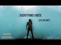 ► Everything I Need《我的歸屬》- Skylar Grey__ Aquaman Soundtrack 中英字幕 ► Everything I Need《我的歸屬》- Skylar Grey__ Aquaman Soundtrack 中英字幕