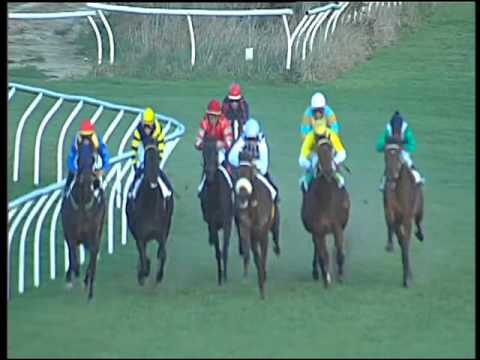 Galoppo 06/02/2016 - 5° corsa