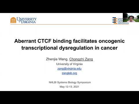 Aberrant CTCF binding facilitates oncogenic transcriptional dysregulation in cancer