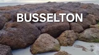 Busselton coastal evening walk #busselton #westernaustralia #walking #beachlife #holiday