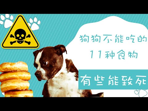 , title : '狗狗不能吃的11种食物，有些食物误食会致死！'