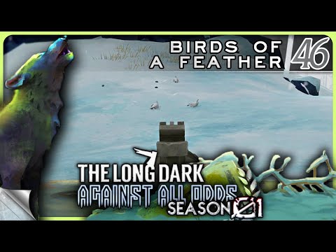 THE LONG DARK — Against All Odds 46 [S01]: Birds of a Feather | Tales Update 4 Stalker+ [4K]