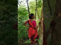 Angry Girls Fight Bhaut Muskil Se Bach Gaya Jungle Kiyaladkihai Nature Food