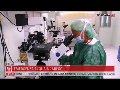 2017-08-12 TG REGIONALE ORE 19.00