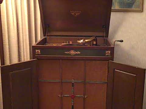 JOHNNY JOHNSON'S PORT LODGE ORCH. - ON REVIVAL DAY - ROARING 20'S VICTROLA 8-9