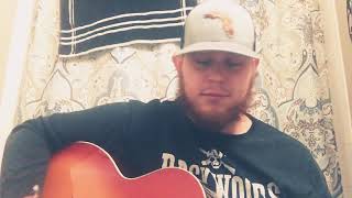 Beer Never Broke My Heart by Luke Combs (Cover)