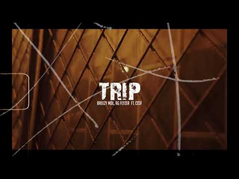 ‘BREEZY MDL X AG FLYZER - TRIP ft. CESF (Prod. FRANZ1S)